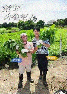 单身即地狱海报